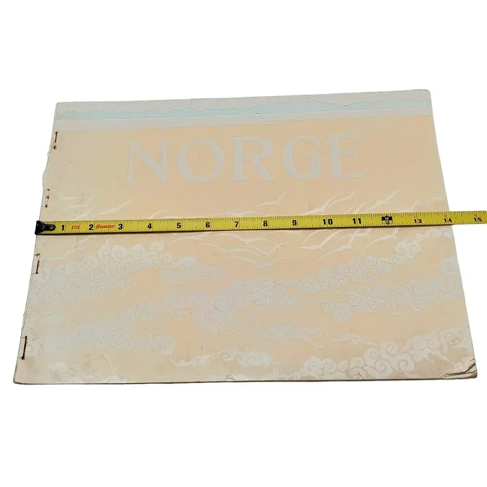 NORGE Norwegian Photos by Mittet & Co RARE 1913 Bookblock Tourist Photo Book